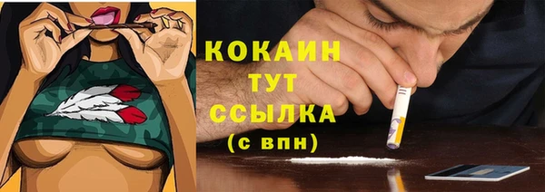 мяу мяу мука Михайлов
