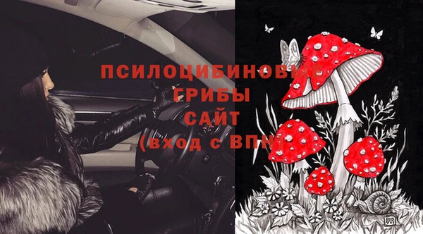 мяу мяу мука Михайлов