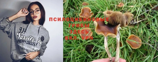 мяу мяу мука Михайлов